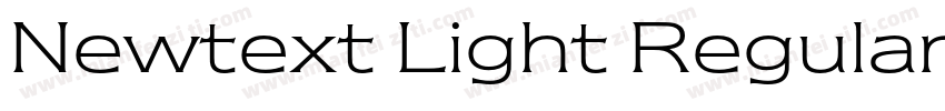 Newtext Light Regular字体转换